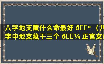 八字地支藏什么命最好 🐺 （八字中地支藏干三个 🐼 正官女命）